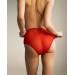 Red high waist mesh panties 